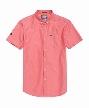 Superdry Ultimate Pinpoint Oxford Férfi Rövid Ujjú Ing Piros | DLZNT8346